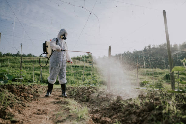 Best Mosquito Control Services  in Willow Street, PA