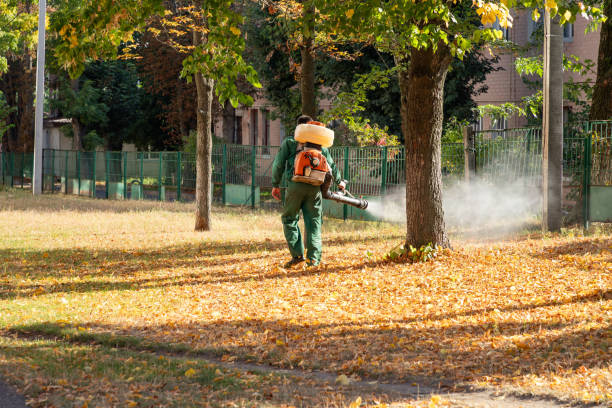 Best Local Pest Control Services  in Willow Street, PA
